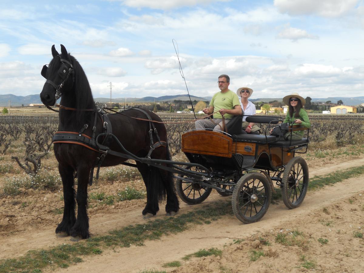 Hotel Rural Cal Ruget Vilobi Del Penedes 외부 사진